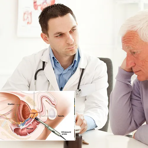 Innovations in Penile Implant Technology Fostering Enhanced Quality of Life